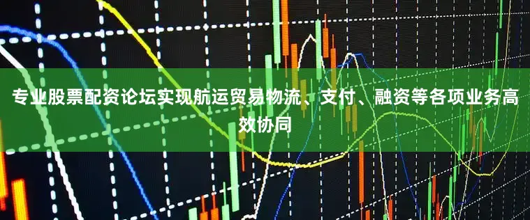 专业股票配资论坛实现航运贸易物流、支付、融资等各项业务高效协同